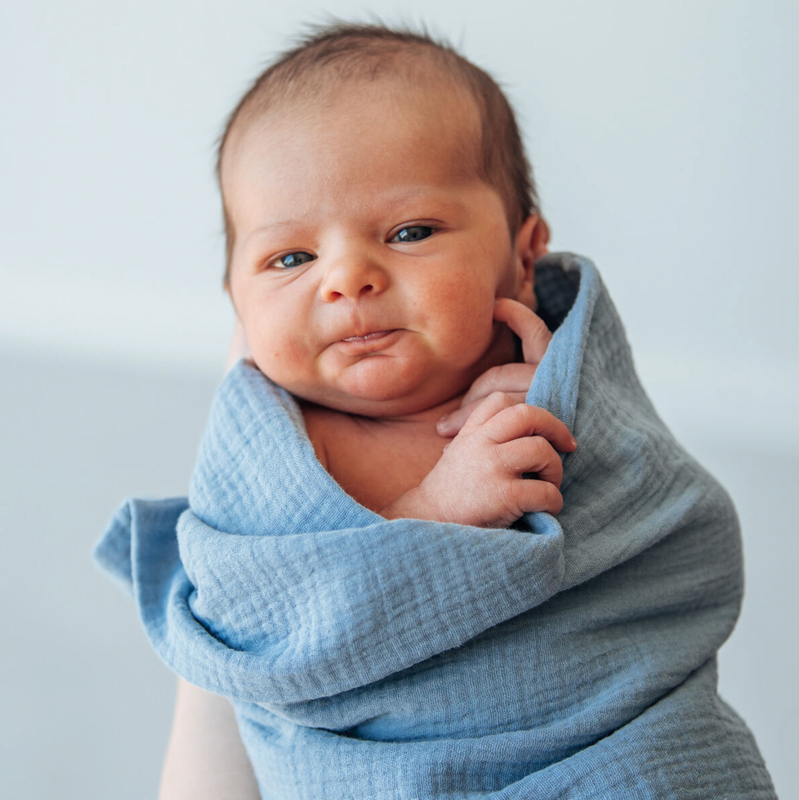 Unavaate, Syli-harsoviltti, Cloud Blue