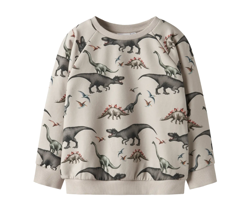 Name it, BERTIL Dinosaurus Collegepaita, Pumice Stone